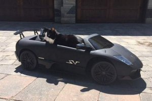 Dj iz kanade kupio je guuna automobil Dj iz kanade kupio je guuna automobil